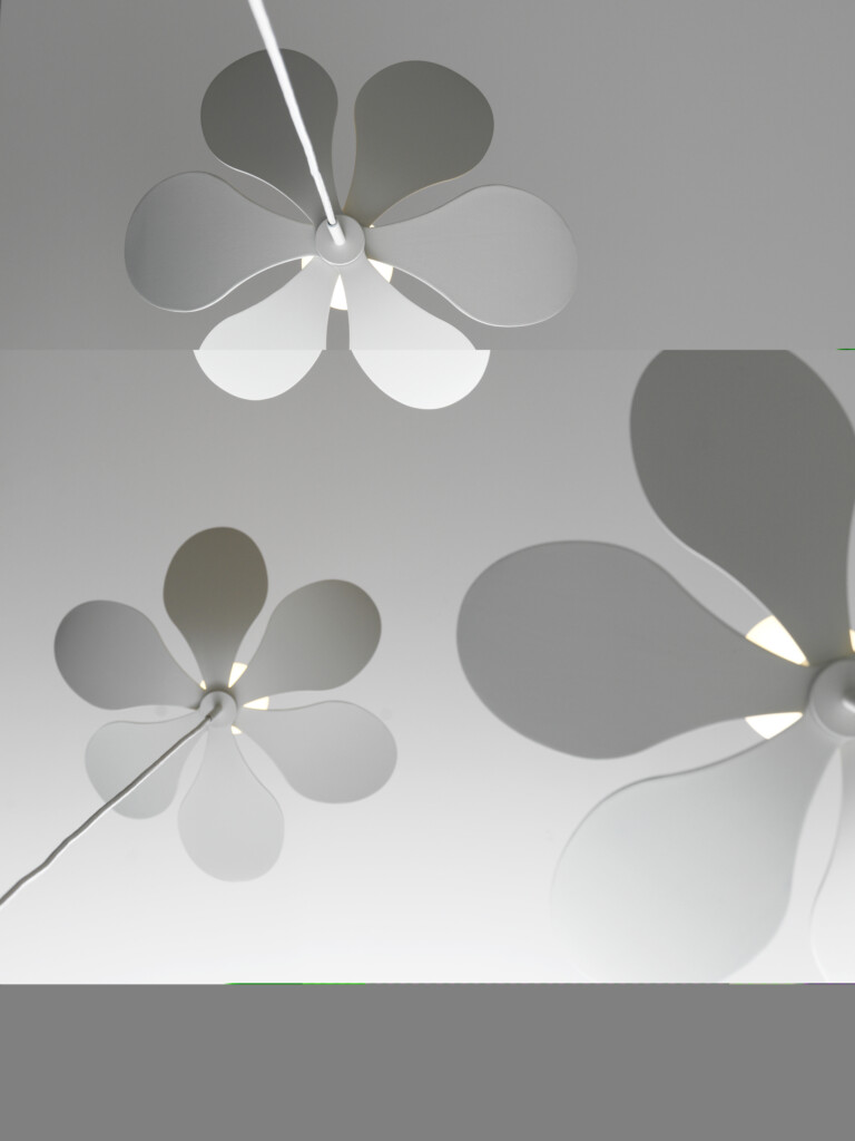 Bloom 50 – Pholc